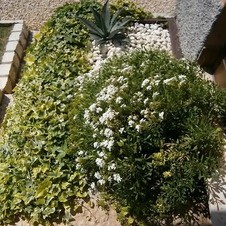 Carmen Biondani לינה וארוחת בוקר פסקנטינה