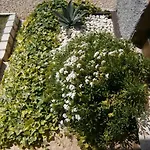 Carmen Biondani Frühstückspension Pescantina