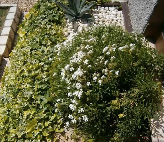 Carmen Biondani Bed & Breakfast Pescantina